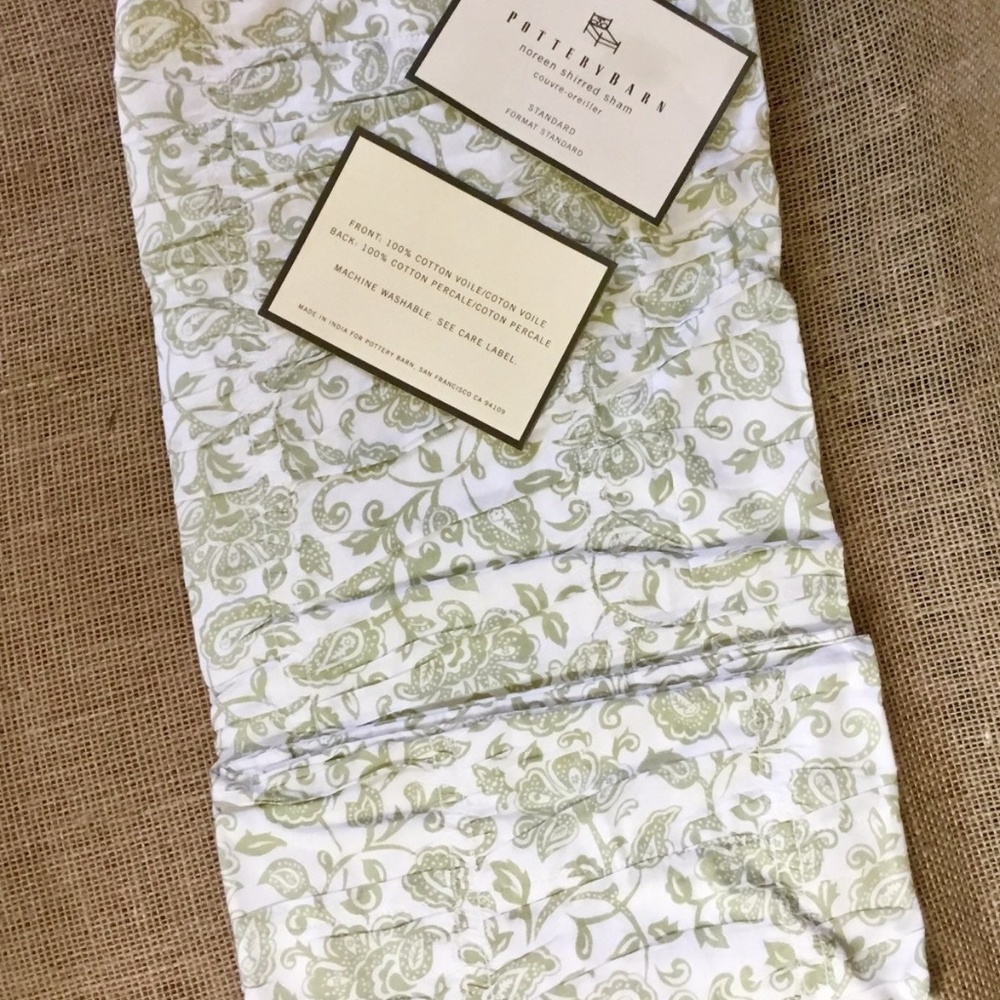 Pottery Barn Noreen Shirred Pillow Sham (1)